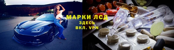 гашик Козельск