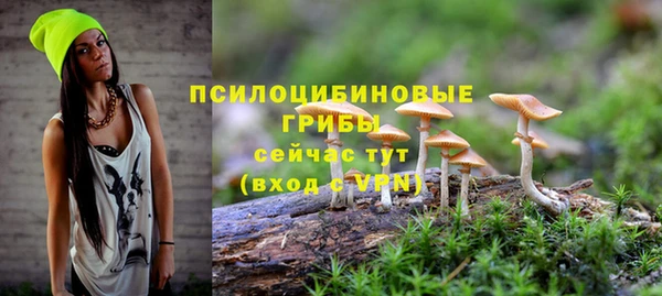 MDMA Premium VHQ Костерёво